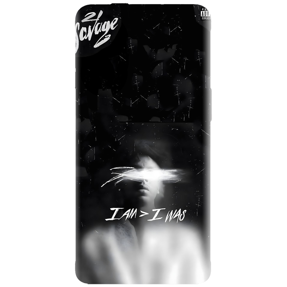 Husa cu artisti pop, rock