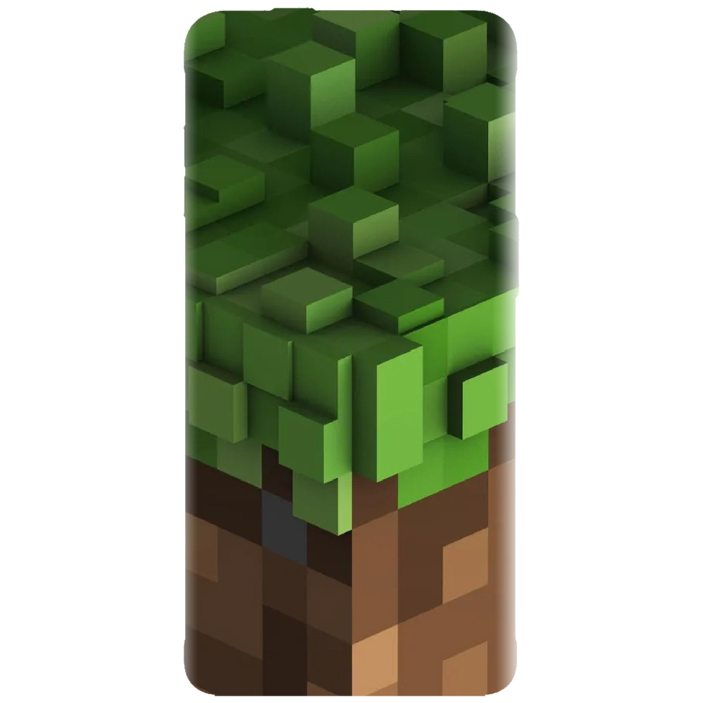 Husa Minecraft