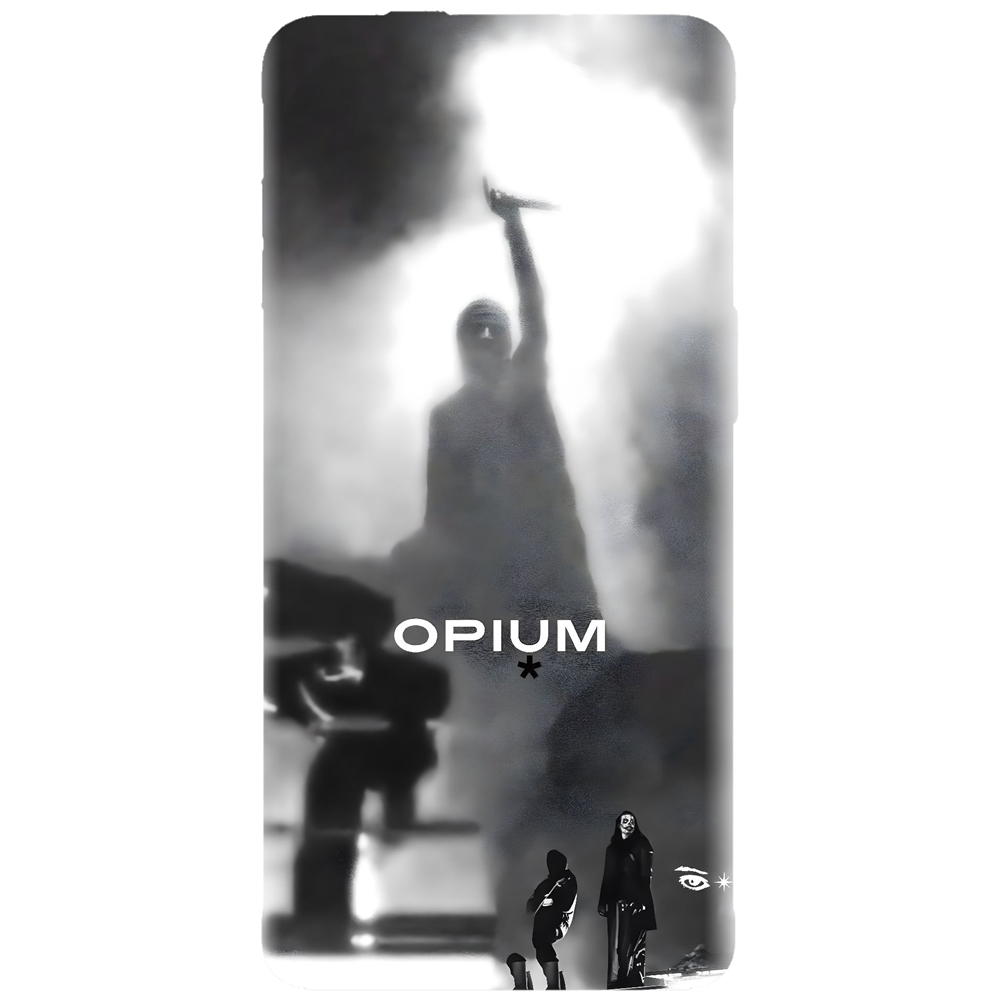 Husa cu artisti pop, rock