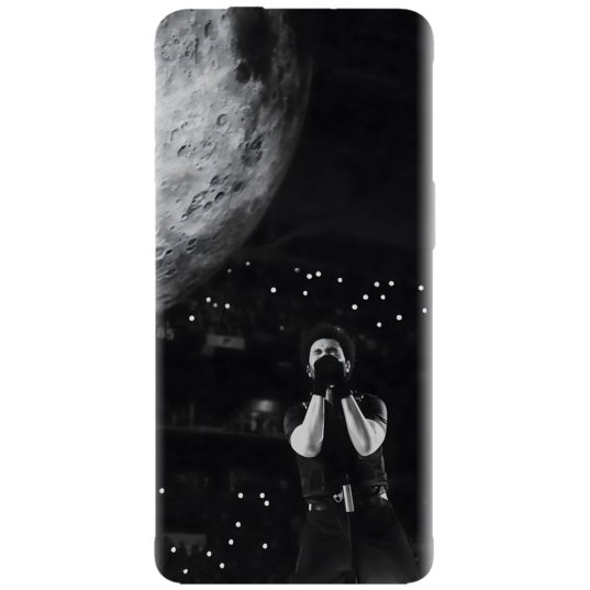 Husa cu artisti pop, rock